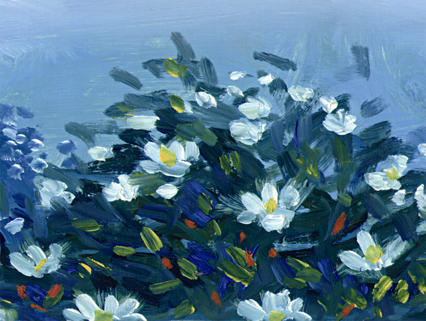 Wild Rose Serie